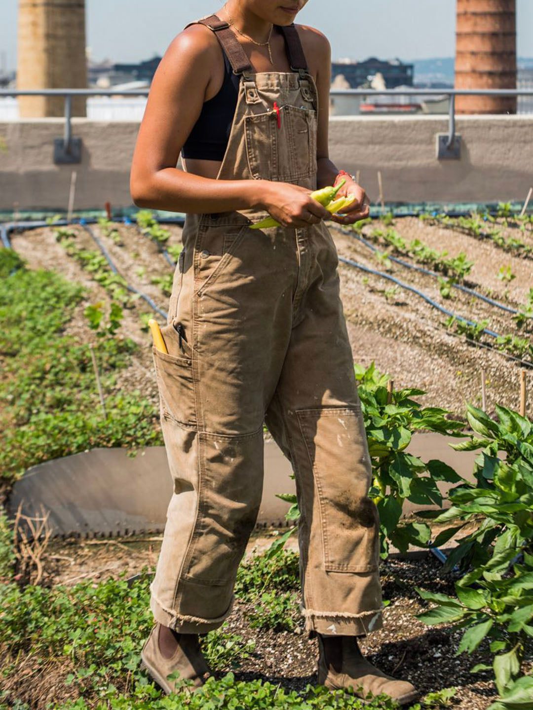 Overalls Canvas Workwear Dungarees